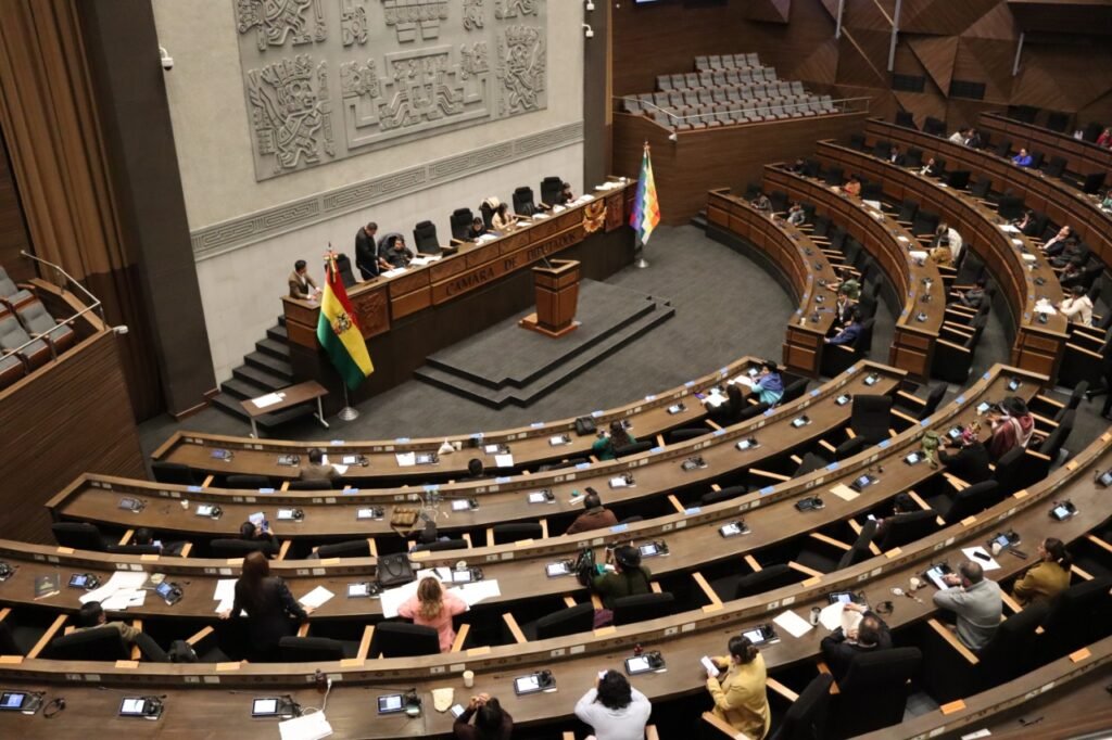 Una de las últimas sesiones de la Cámara de Diputados. Foto: Archivo